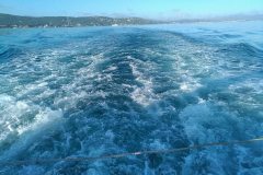 IMG_20190426_082258