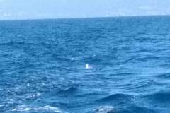 IMG_20190426_101441