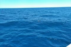 IMG_20190426_141954