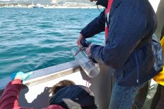 IMG_20200303_110850