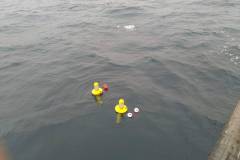 IMG_20200305_090945