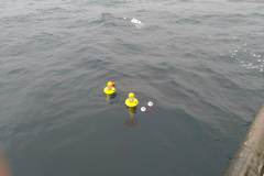 IMG_20200305_090946