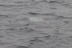 IMG_20200305_095457
