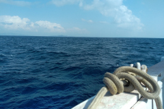 IMG_20210306_122033