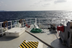 IMG_20210307_103602