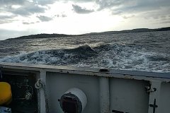IMG_20230224_090244