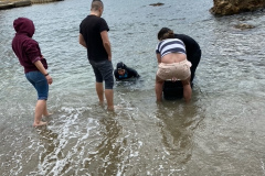 image12