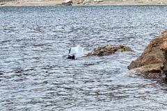 image8